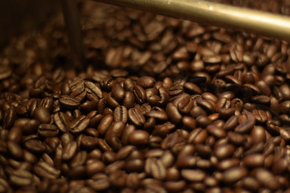 Bodie's Organic Blend