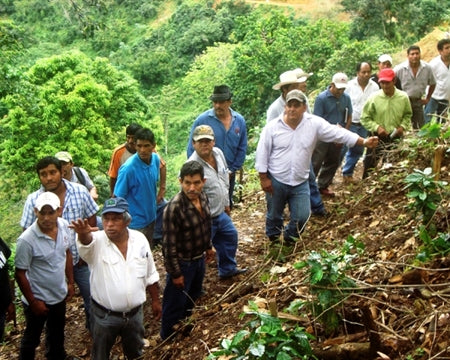 Organic Mexico Chiapas