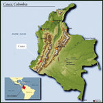 Organic Colombia Huila
